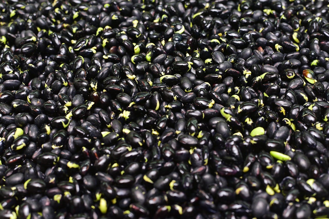 Black beans hold their shape through long cooking and make the chili rich and filling.